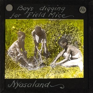 Boys Digging for Field Mice, Lubwa, Zambia, ca.1905-ca.1940