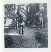 Ruby and Ed Levin in redwood grove