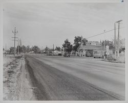 Redwood Highway near Penngrove, California, photographed between 1952 and 1953
