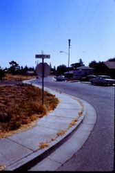 Residential area in Sebastopol, California, 1970 at Murphy Avenue and Bately Court