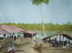 Palm Oil, Calabar, Nigeria, ca. 1930-1940