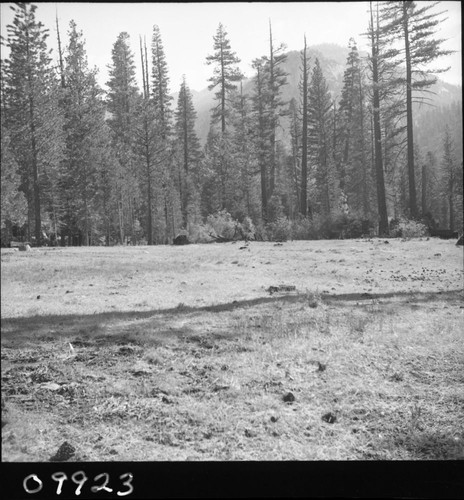 Misc. Meadows, small pasture, Kern Ranger Station