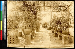 Private garden, Sichuan, China, ca.1900-1920