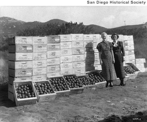 Two women standing in front of crates of avocados