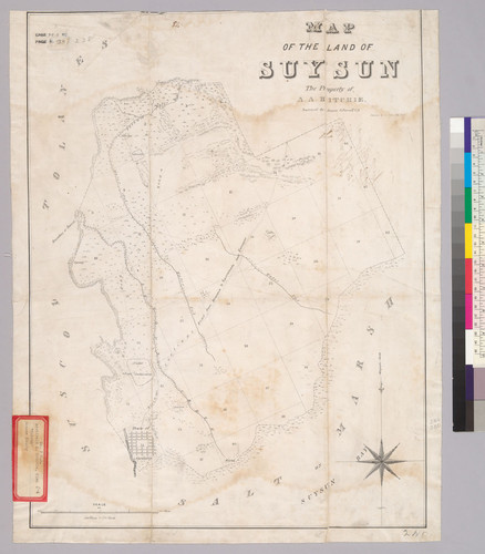 Map of the land of Suysun, the property of A.A. Ritchie : [Solano County, Calif.] / Surveyed by Jasper O'Farrell, C.E