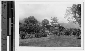 St. Ann's Convent, Heeia, Hawaii, 1936