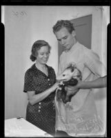 Mrs. William F. Sexton and Roland Snow with rescued opossum, Los Angeles, 1935