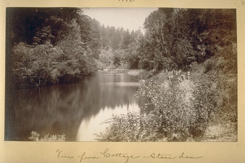 View from Cottage--Stone dam. 1882. [San Andreas Lake?]