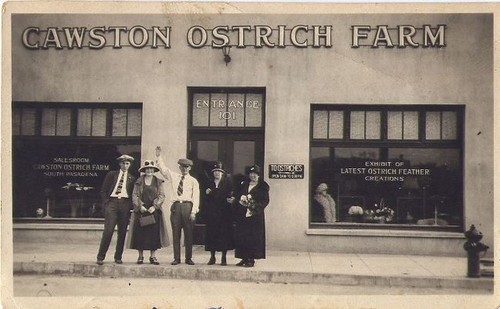Five People Posing in Front of Cawston Ostrich Farm Salesroom