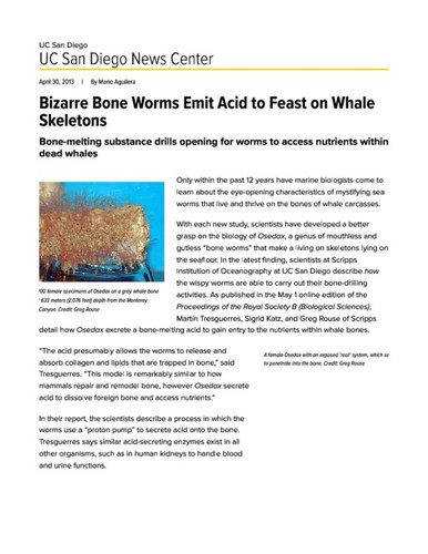 Bizarre Bone Worms Emit Acid to Feast on Whale Skeletons