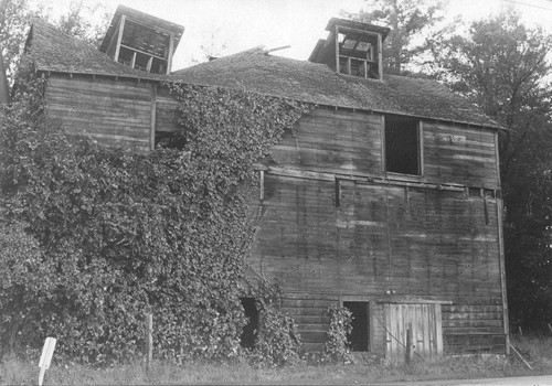 Abandoned mill, Graton, California