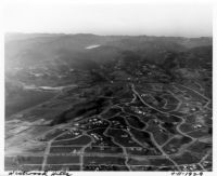 Aerial view of Westwood Hills including UCLA, 1929