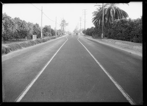 Scene of accident near Montebello on Telegraph Road - Adams vs. Warren, Montebello, CA, 1934