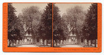 Res. of L. J. Rose, from Orange Ave., Sunny Slope. 4803. [2 copies]