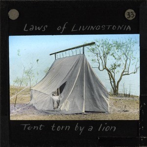"Tent Torn by a Lion", Malawi