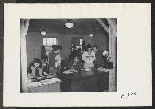 A section of the office staff at this relocation center. Photographer: Parker, Tom McGehee, Arkansas