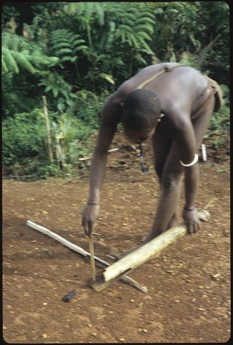 A woman picks up pig droppings in the clearing with a bamboo