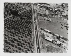 Aerial view of area near Shiloh Road and Highway 101, Santa Rosa, California, 1961