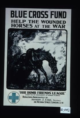 Blue Cross Fund, help the wounded horses at the war