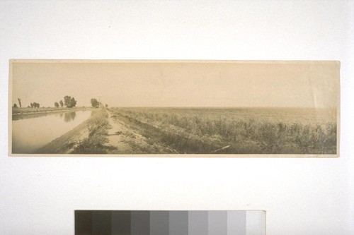 Main irrigation canal and rice field, Fair Ranch, Knights Landing, 1916