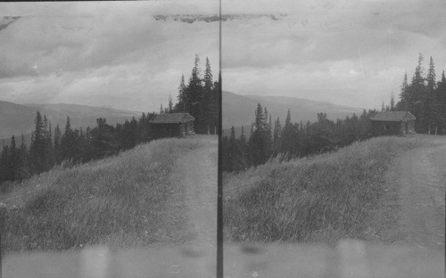 View looking N.E. at the point where the Chittenden Road across Mount Washburn joins the main road from Canyon Junction to Tower Falls, Yellowstone Park Wyo. (Elevations 8650 ft. Lat. 45N; 110W). Showing Ranger's Cabin