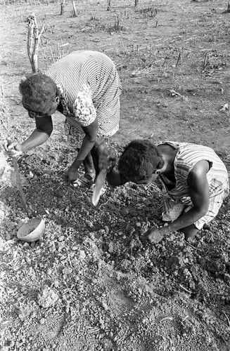 Women planting peanuts, San Basilio de Palenque, 1977