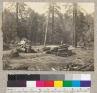 Redwood Region. An unusually good landing. Holmes-Eureka Lumber Company's Boy Scout tract operation, opposite Carlotta. Logs brought to landing by tractor. 7-8-36, E.F
