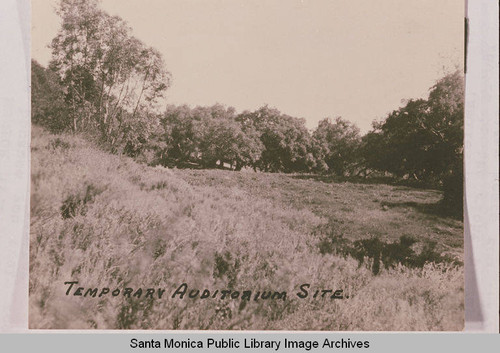 Temporary auditorium site in Temescal Canyon with oak savanna grass, eucalyptus and chaparral with oaks and sycamores growing tall in the background