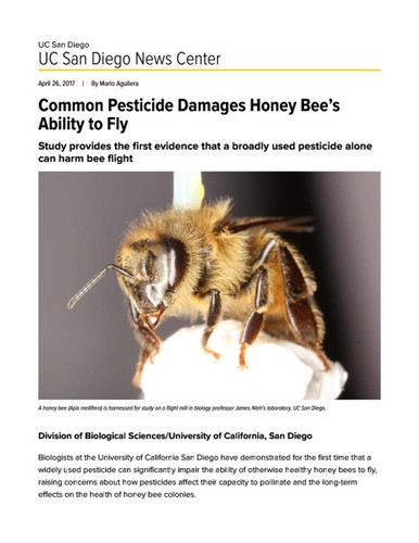 Common Pesticide Damages Honey Bee’s Ability to Fly