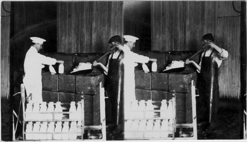 Boxes of Bottles Ready to Ship to the City, Briarcliff Farms near New York City, N.Y