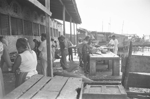 Men and women cleaning fish at city market, Cartagena Province, ca. 1978