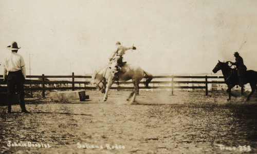 John Dobbins, California Rodeo