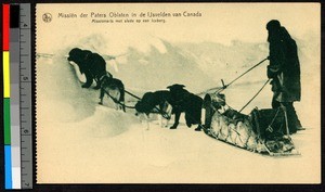 Man guiding a dogsled over snow, Canada, ca.1920-1940