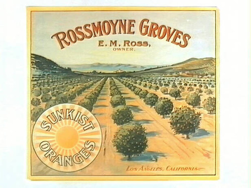 Rossmoyne Groves