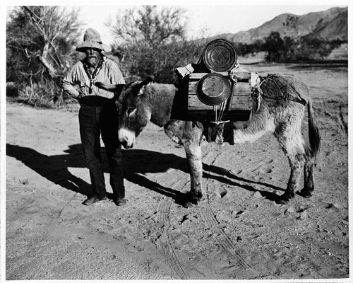 Prospector and his burro