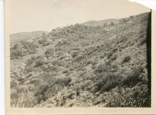 Mountain landscape in Malibu, ca. 1910