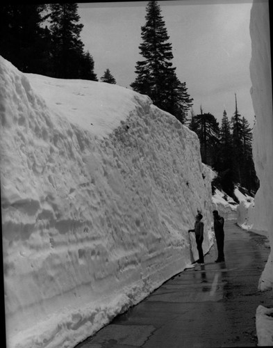 Record Heavy Snows, , Opening Generals Highway near Little Baldy. L to R: Lowell C. Butts, Donald L. Johnson. Both from Grant Grove