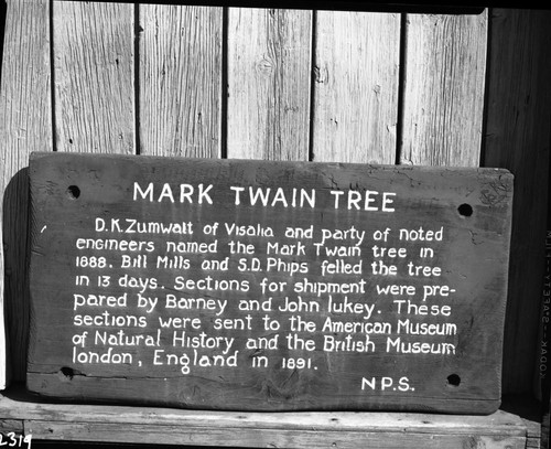 Signs, Mark Twain Tree