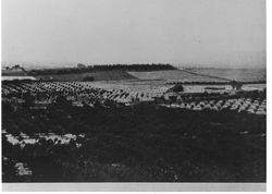 Panoramic view of the Burbank Experiment Farm with original cottage and barn