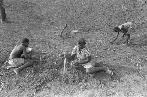 Peanut farming, San Basilio de Palenque, 1977