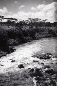 The river Noun, in Cameroon