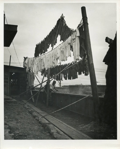 Clothes drying on lines