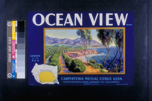 Ocean view brand