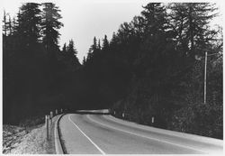 River Road near Forestville, California, about 1961