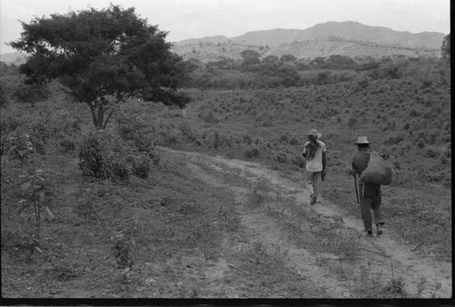 Two men carrying yucca roots, San Basilio de Palenque, 1975