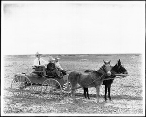 Three men travelling across the Colorado Desert in a mule-drawn wagon, ca.1903