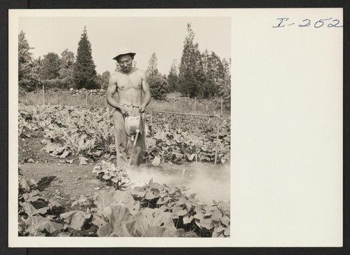Yoshiro Befu (Granada) from Santa Maria, California, gains experience in eastern horticulture before continuing his college education, on the Greenough estate in Belmont, Massachusetts. Photographer: Iwasaki, Hikaru Belmont, Massachusetts