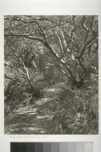 Bridle path around Lake Aliso
