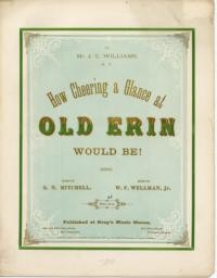 How cheering a glance at old Erin would be / words by S. N. Mitchell ; music by W. F. Wellman, Jr