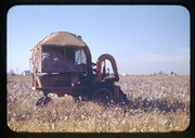 Side View of International Harvester One-Row Cotton Picker